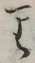 𛃶 위치 확인됨