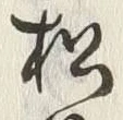 字松