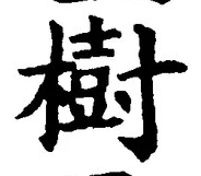 글자 樹