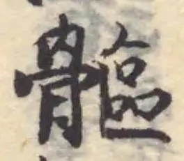 𩪍の位置