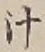 글자 汁