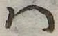 Đã định vị 𛂞