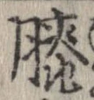 Đã định vị 膝