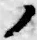 字ノ