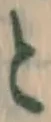 글자 と