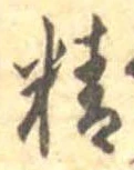 精 위치 확인됨