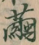 Character 繭