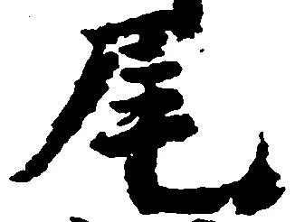 㐌定位尾