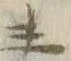 文字主