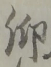 仰 위치 확인됨