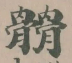 𩪆の位置