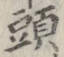 已定位頭