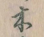 位置定マレル木