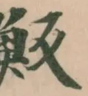 魬の位置