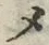 “メ”字
