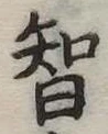 智 위치 확인됨
