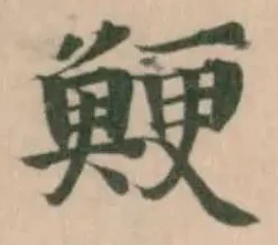 鯁 위치 확인됨