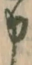 字申