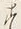 文字退