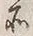 字所