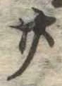 廿 위치 확인됨