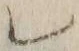 字レ