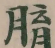 𦝑の位置