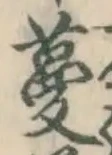 글자 蔓