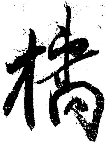 Đã định vị 橘