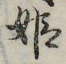 姫の位置