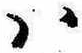 Đã định vị 𛂞