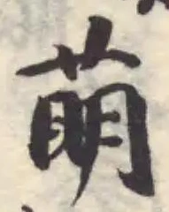 萌 위치 확인됨