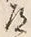글자 道