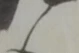 厄 위치 확인됨