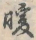 Đã định vị 暖