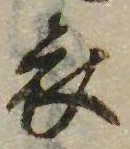 已定位衣