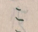 こ 위치 확인됨