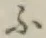 Chữ ふ
