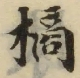 樀の位置