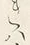 𡨸は
