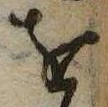 已定位𛄜