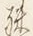 文字殊