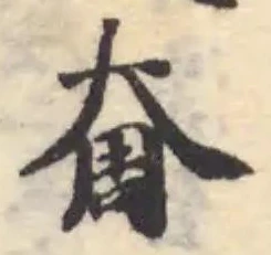 奝の位置