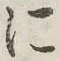 字に
