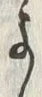 𡨸よ