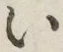 글자 い