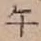 字午