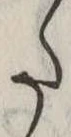 𛁠の位置