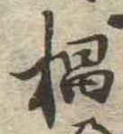 位置定マレル杉