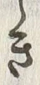 “き”字